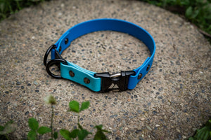 Atlas Quick-Release BioThane Collar, 1" wide, in blue, displayed outdoors for safety and style. Profits support dog rescue.