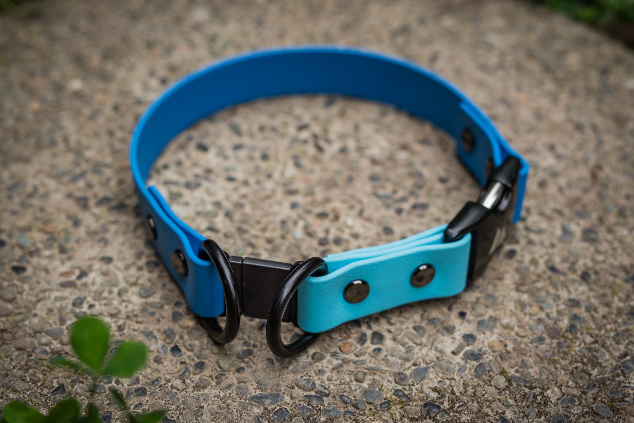 Blue Atlas Quick-Release BioThane Dog Collar on stone surface, supporting True North GSD Rescue with every purchase.