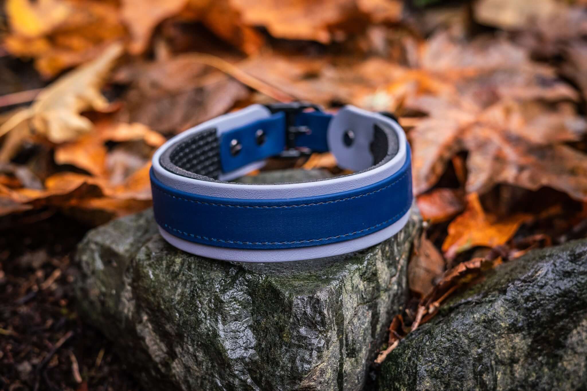 Voyager Premium BioThane Extra-Wide Adjustable Dog Collar with Padding on Rock, Surrounded by Autumn Leaves