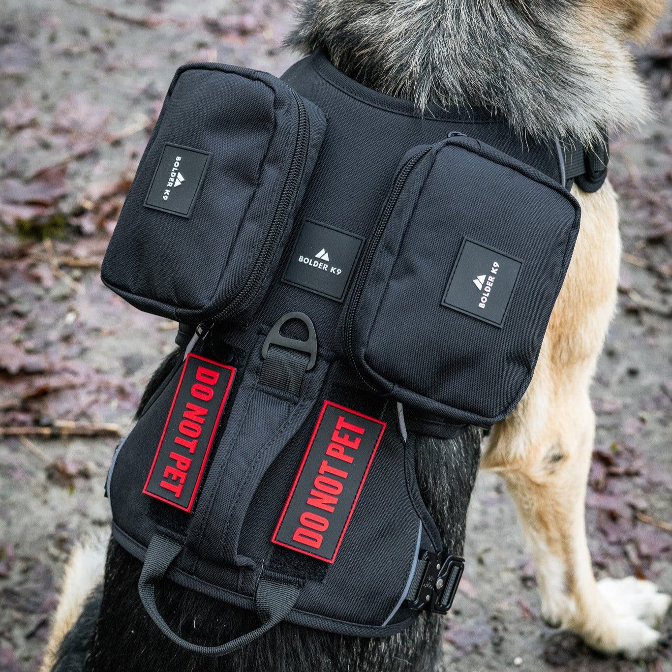 Outlander adjustable dog harness featuring heavy-duty Cordura and "Do Not Pet" patches, designed for durability and comfort.