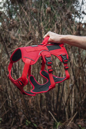 Outlander red adjustable dog harness held by a person, showcasing its durable design amidst outdoor foliage.