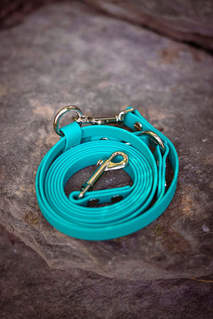 Teal adjustable BioThane hands-free dog leash coiled on rock surface