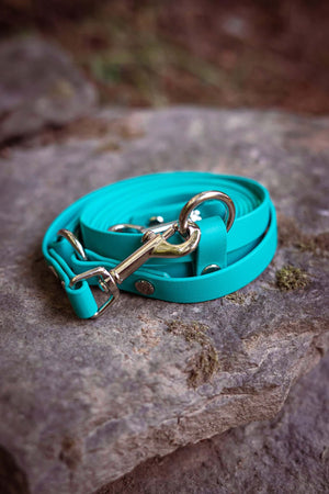 Aqua BioThane adjustable dog leash on rock, perfect for small dogs, supports dog rescue with purchase profits.