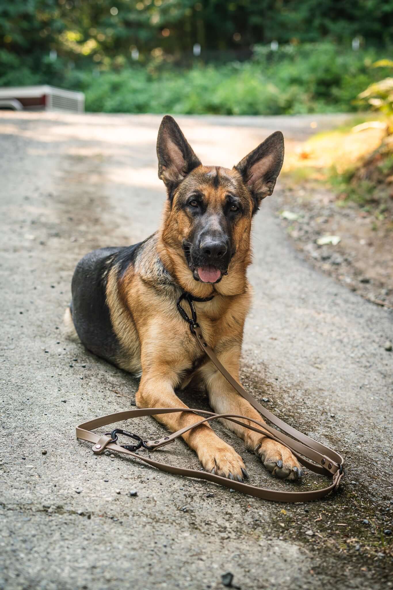 Voyager Hands Free BioThane Adjustable Cross Body Dog Leash