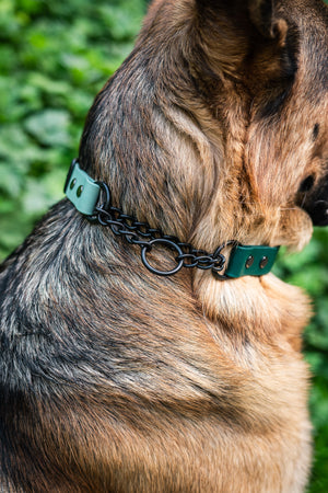 German Shepherd wearing Adjustable BioThane Martingale Collar in nature, supporting True North GSD Rescue.