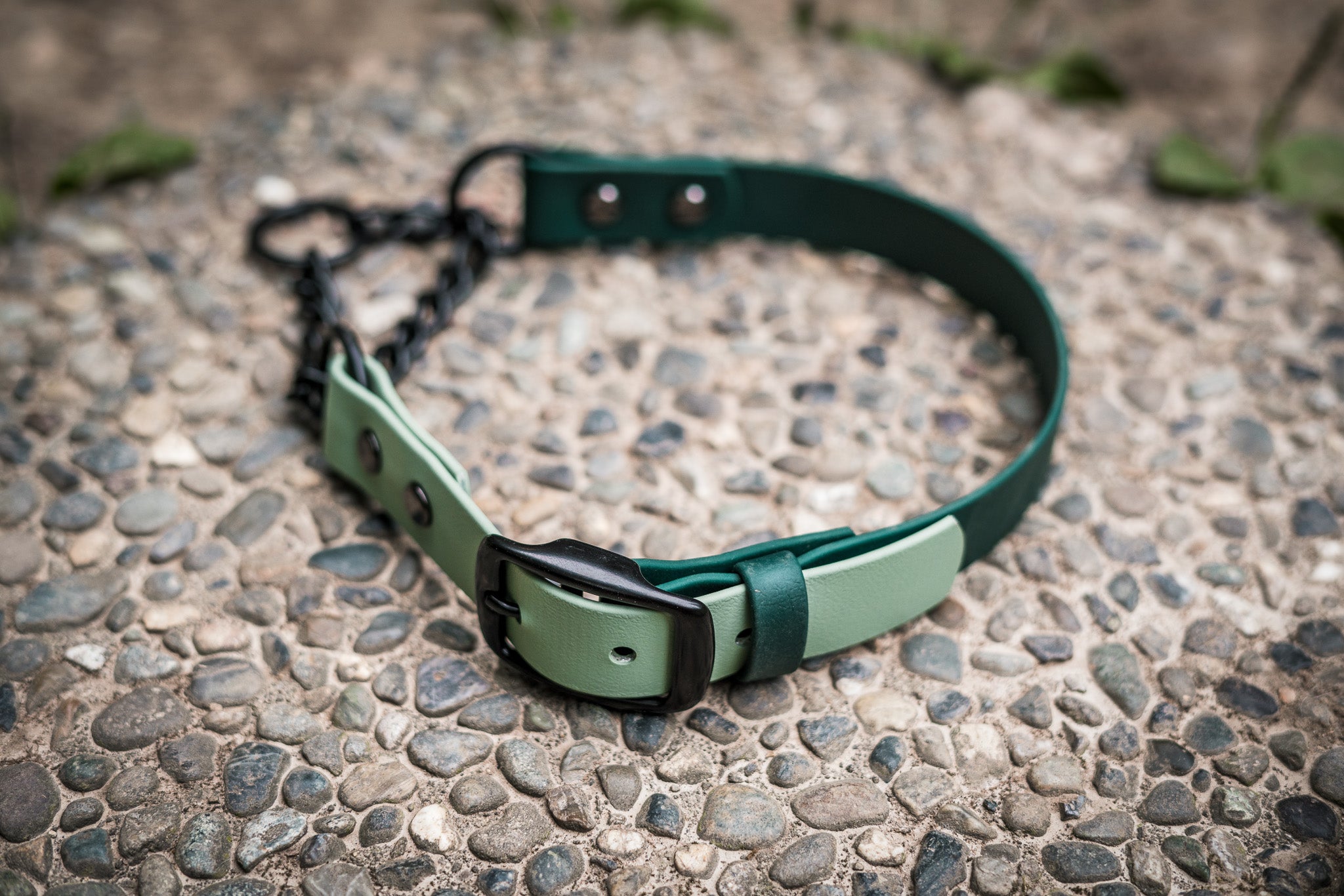 Adjustable BioThane Martingale Collar in green on a rocky surface, waterproof and durable design for stylish dog owners.