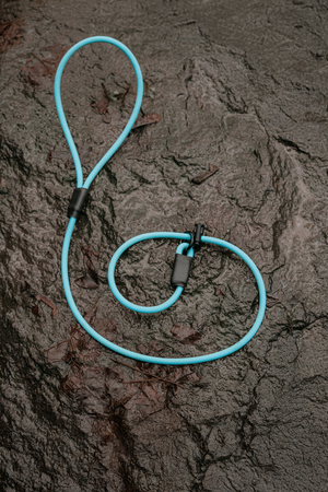 1/4" BioThane® Rope Slip Lead in vibrant blue on textured rock surface, showcasing its durability and design.