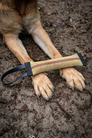 Upcycled firehose tug toy with BioThane handle, resting on a dog's paws, perfect for durable dog training.