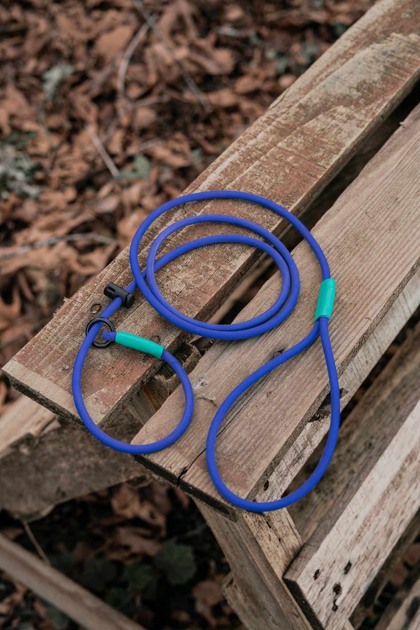 BioThane® Rope Slip Lead in blue color resting on a wooden surface, showcasing its durability and design.