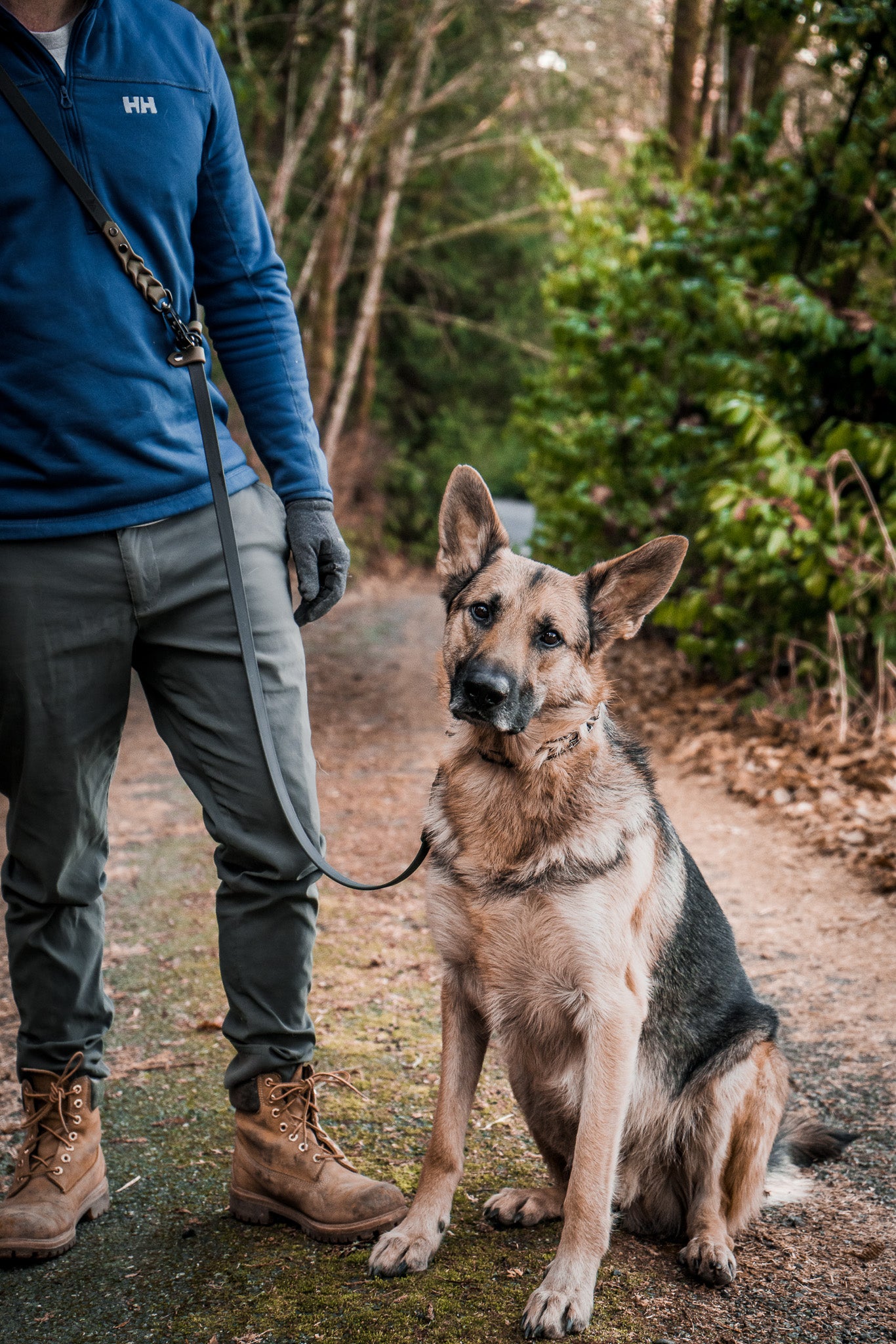 Man walking dog with Trailblazer BioThane® hands-free adjustable leash on a forest path