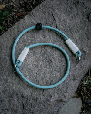 BioThane® rope slip lead collar in teal with white ends, designed for easy handling and waterproof durability.
