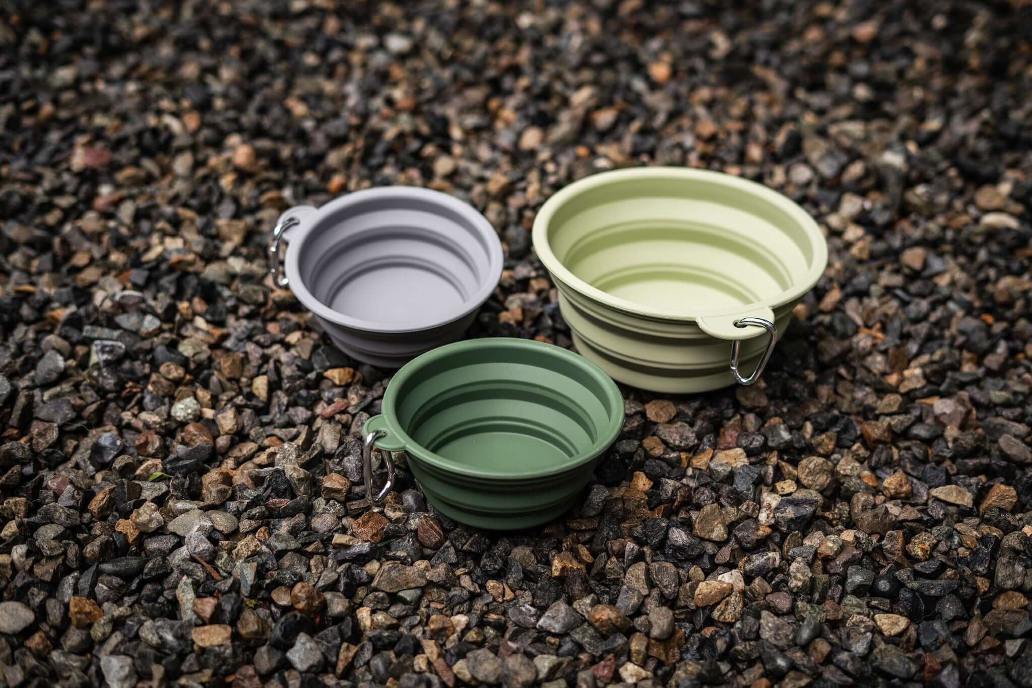 Collapsible Silicone Dog Bowl - Bolder K9