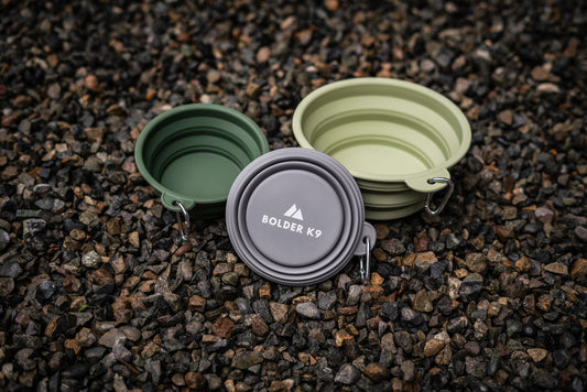 Collapsible Silicone Dog Bowl