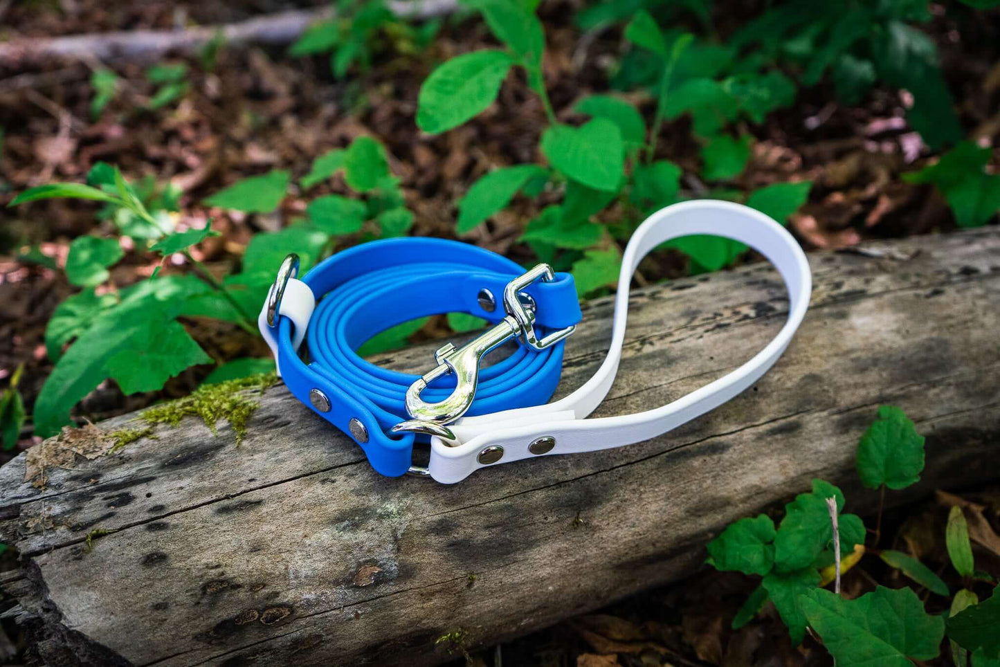 Voyager BioThane® Leash with Slip Function