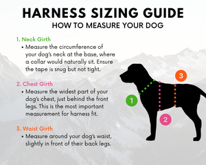 Harness sizing guide for measuring dog neck girth, chest girth, and waist girth with visual instructions.