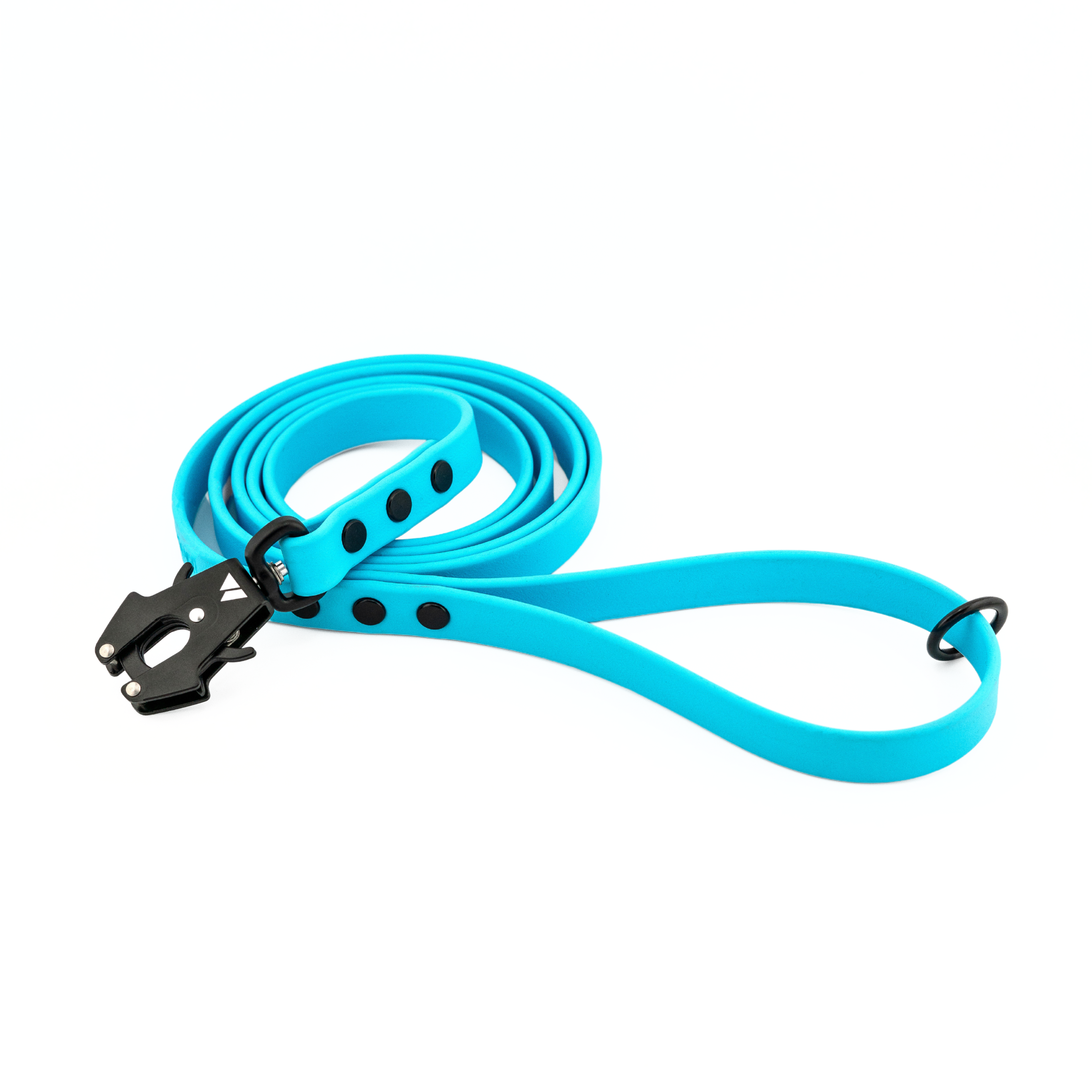 Element BioThane® Leash