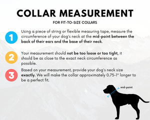 "Collar measurement guide for fit-to-size dog collars with instructions and illustration of measuring dog's neck."