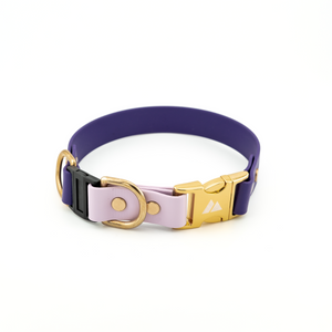 Atlas Quick-Release BioThane Dog Collar, 1" Wide, Purple and Black with Gold Buckle for Safe and Stylish Pets