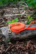 biothane long line dog leash in orange with gold hardware on a stone background