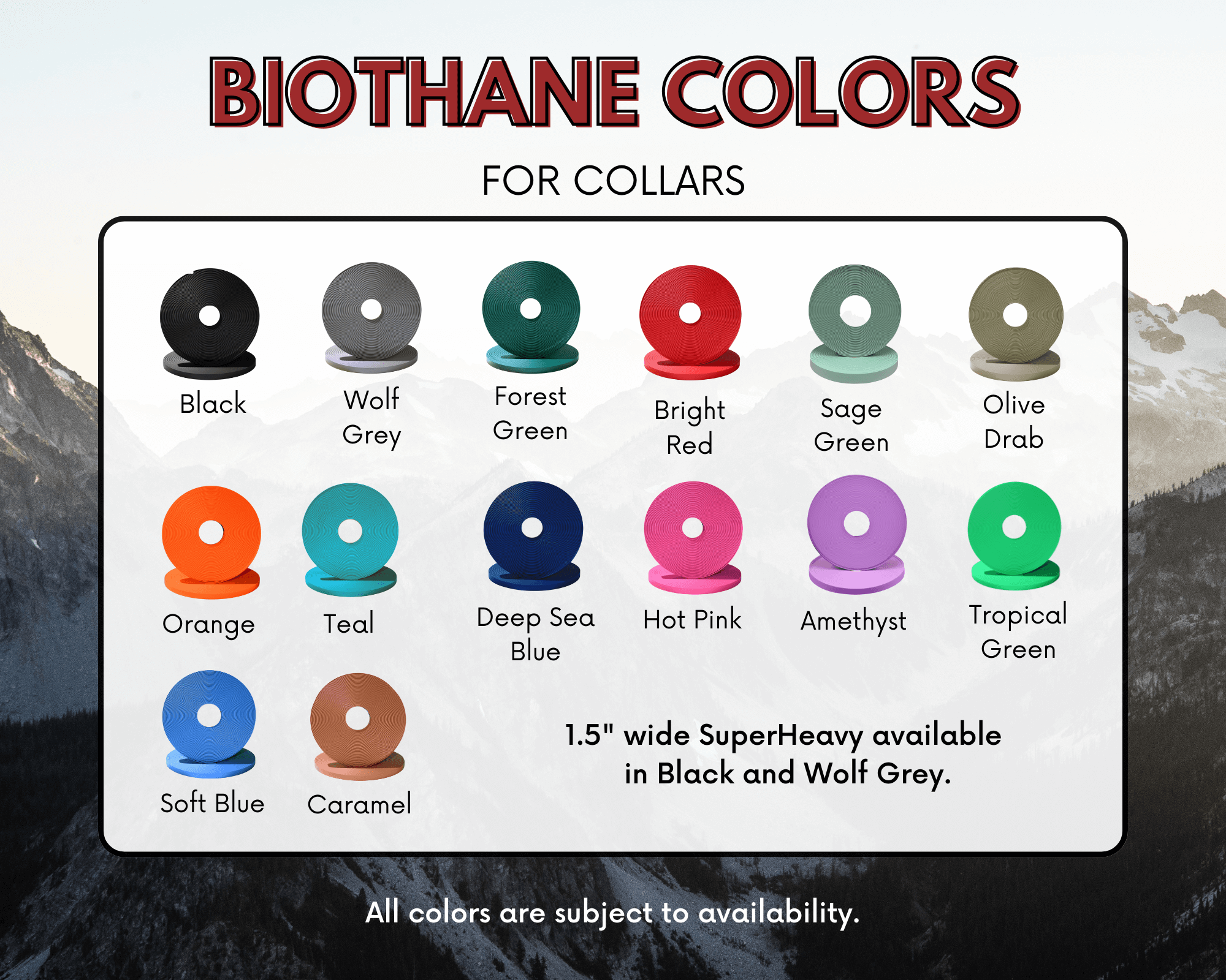 BioThane dog collar color options, including black, grey, green, red, orange, teal, blue, pink, purple, and caramel.