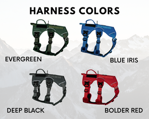 Outlander dog harness colors: Evergreen, Blue Iris, Deep Black, and Bolder Red displayed against a mountain backdrop.