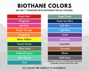 "Biothane collar color options including bright red, neon yellow, sage green, violet, and more in various shades."