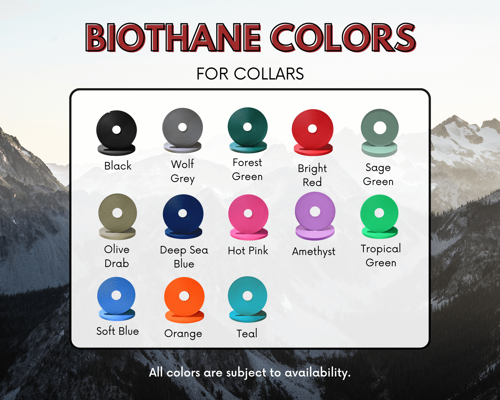 Biothane dog collar color options including black, wolf grey, forest green, bright red, sage green, olive drab, blue, pink, teal.