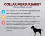 Voyager BioThane® 1" Adjustable Dog Collar - Bolder K9