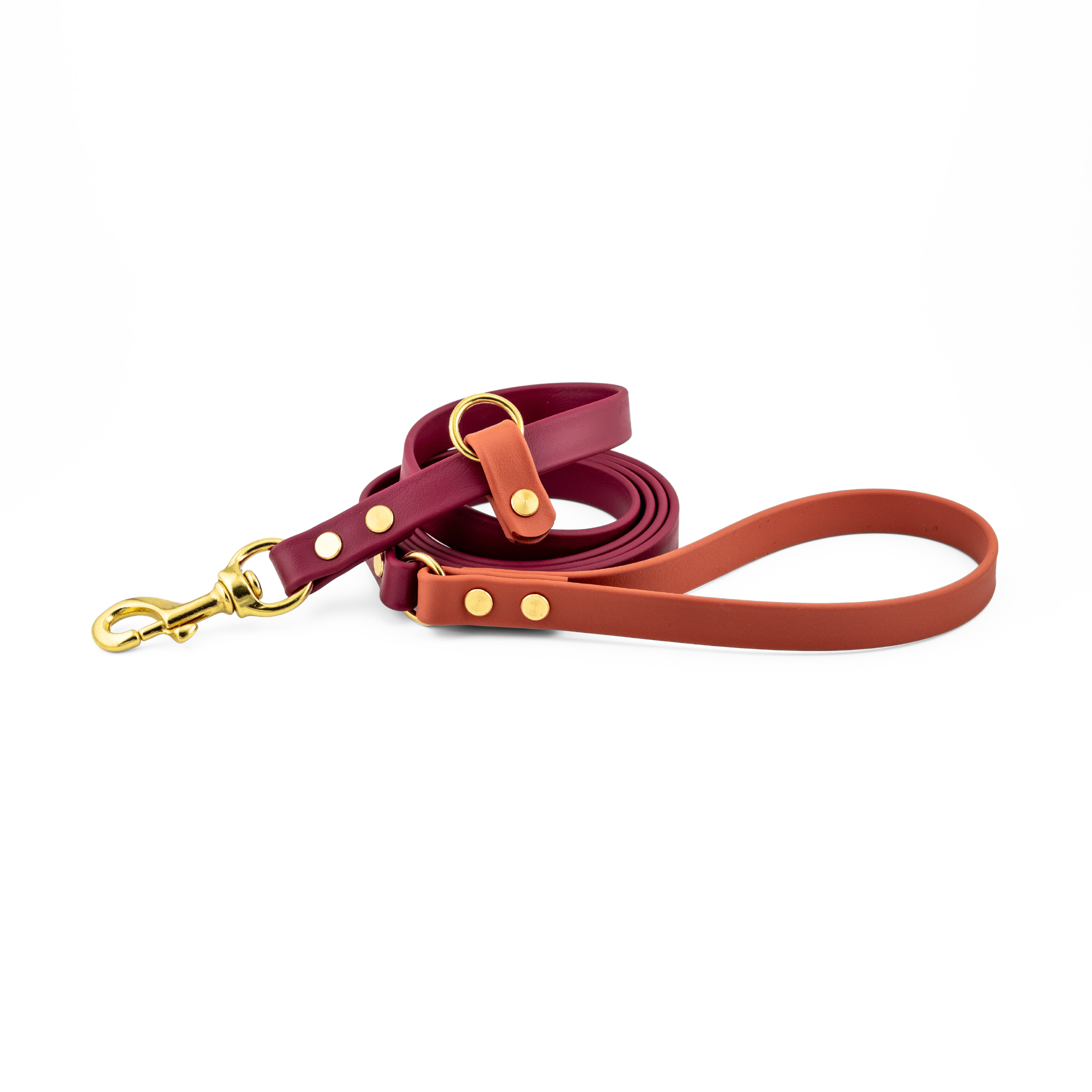 Voyager BioThane® Leash with Slip Function