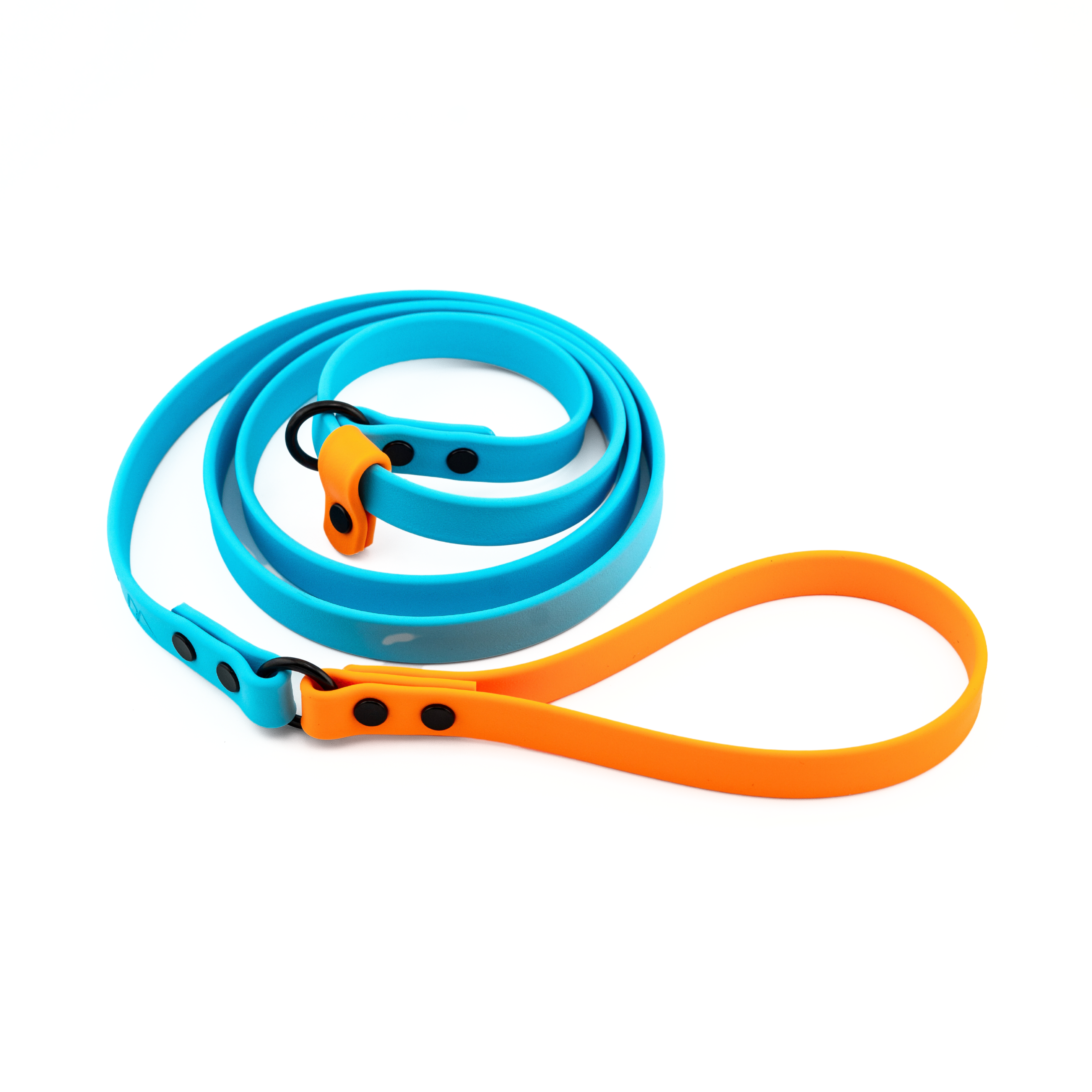 Voyager BioThane® Slip Lead