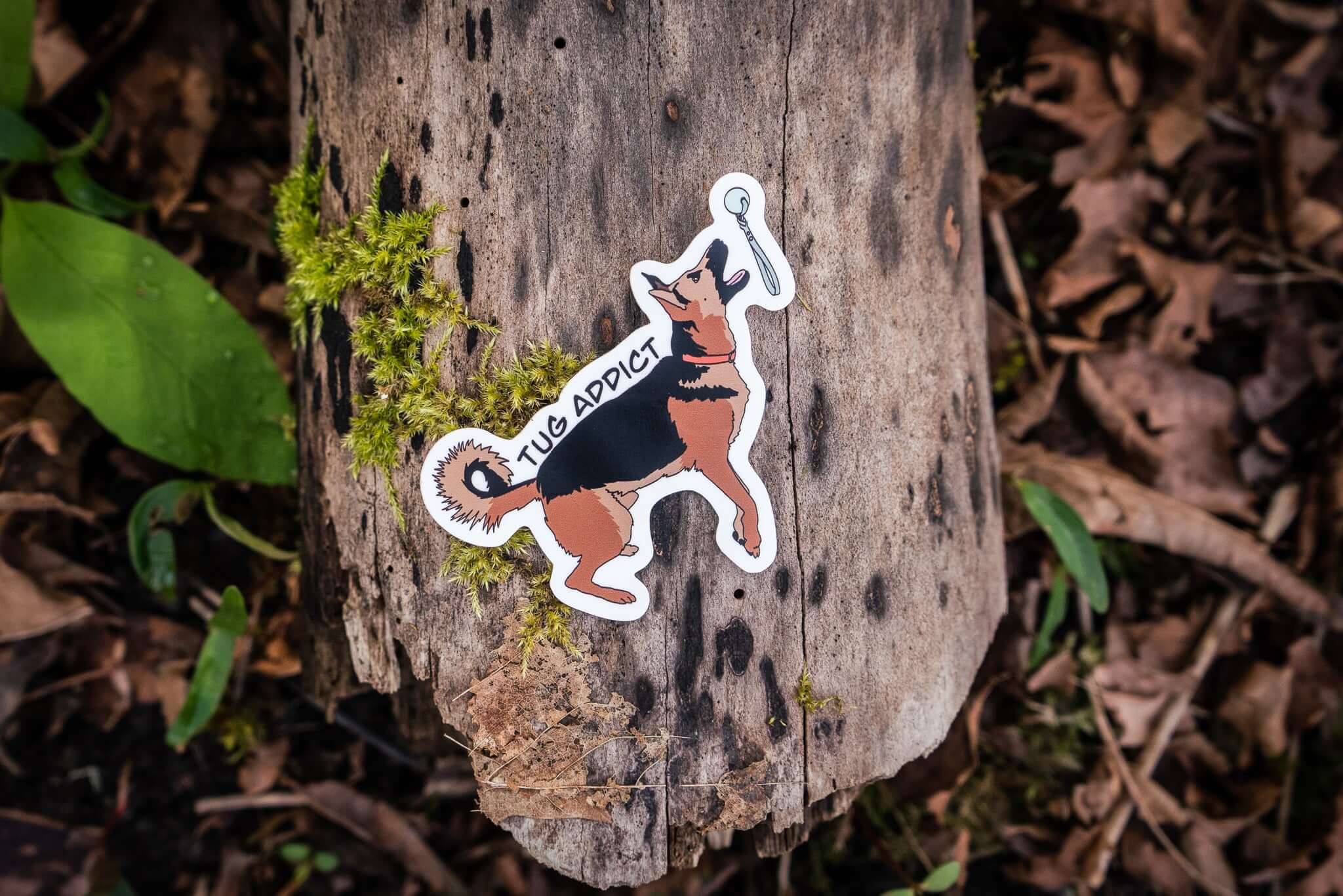 Tug Addict Dog Sticker