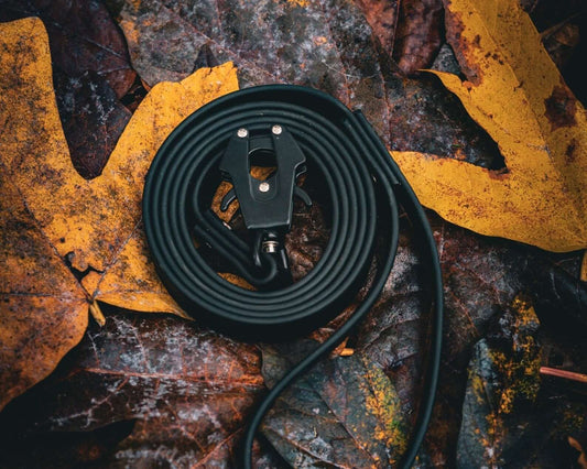 black two-tone biothane leash with black hardware on a stone and leaf background