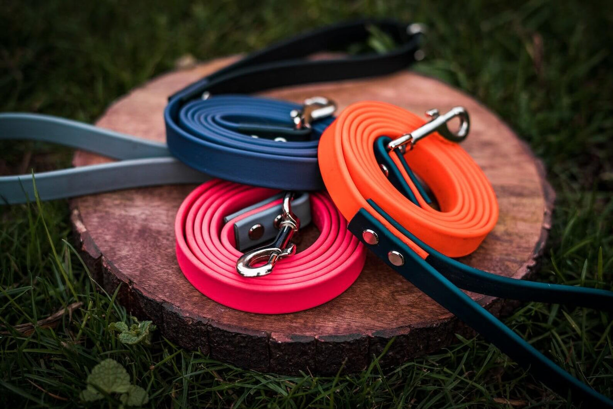 Biothane Storage Atlas Two Tone BioThane® Lead, Waterproof, Durable