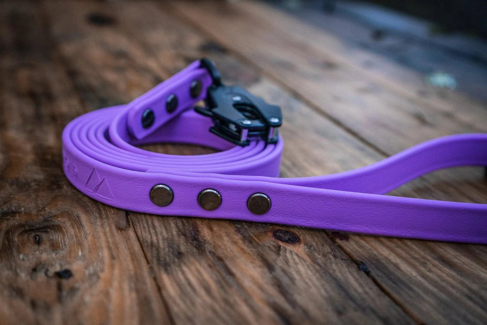 biothane dog leash in amethyst with black hardware and frog style clip on a wood background