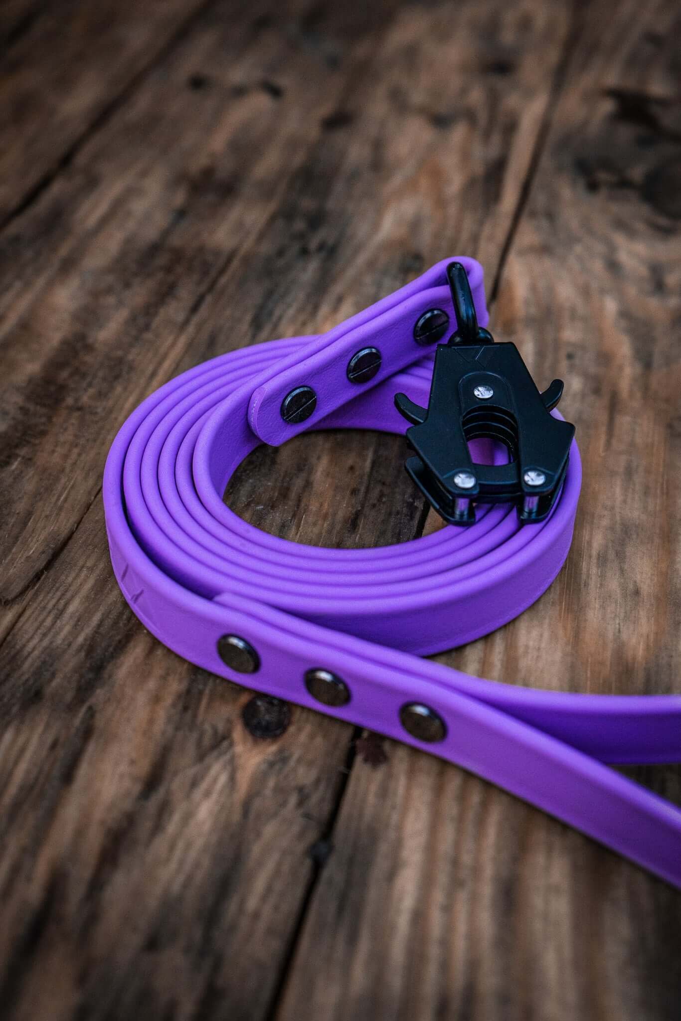 biothane dog leash in amethyst with black hardware and frog style clip on a wood background