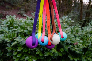 four tugs with different custom balls each with a different custom biothane strap of various colors on a background of leaves