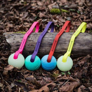 four tugs with different custom balls each with a different custom biothane strap of various colors on a background of leaves