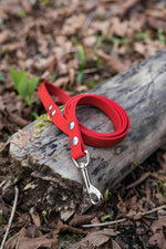 small dog biothane leash in red with silver hardware on a wood background