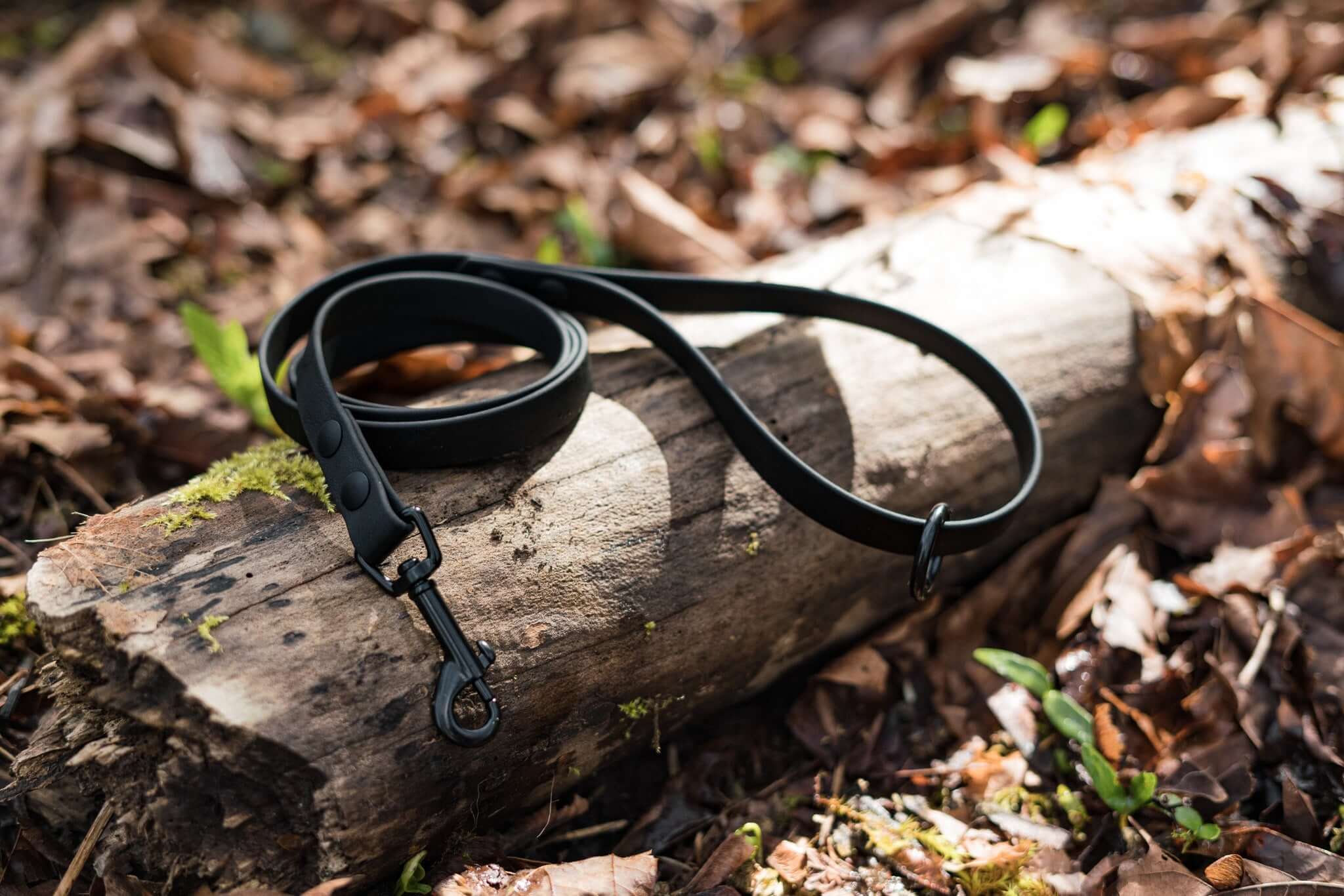 small dog biothane leash in black with silver hardware on a wood background