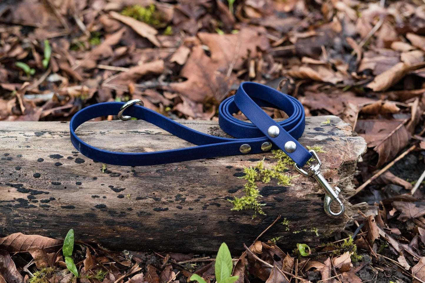 small dog biothane leash in deep sea blue with silver hardware on a wood background