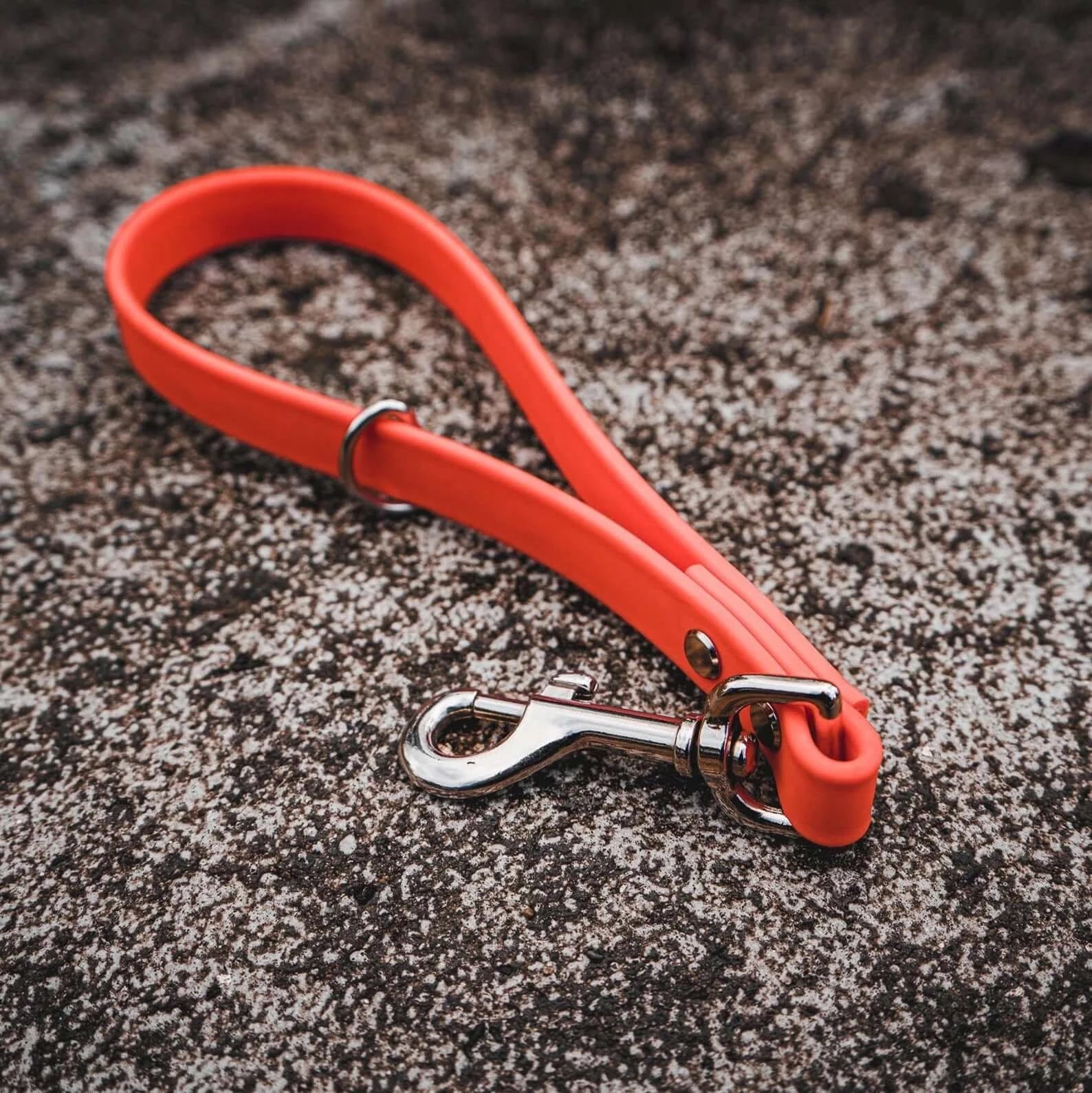 Traffic clearance lead leash